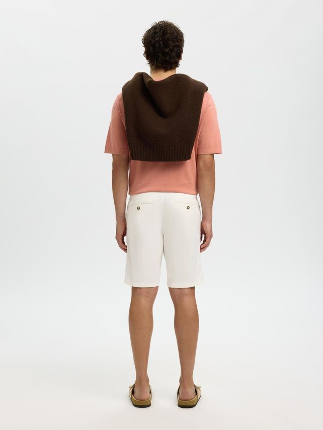 Slim Miles Flex Shorts  Cloud Dance