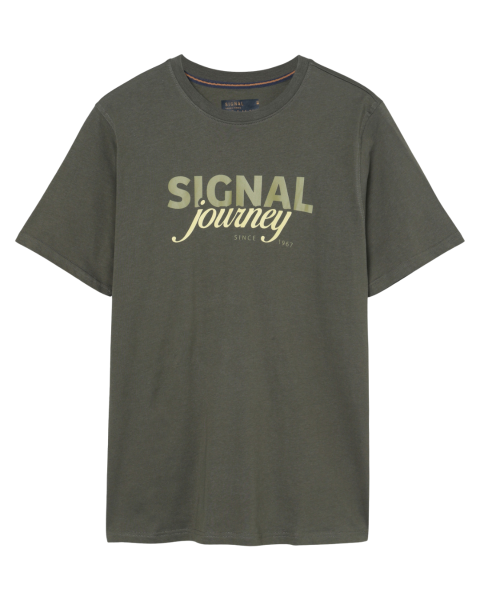 Dizzy Logo Tee + Beluga Green