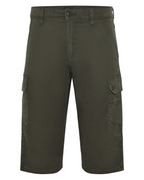 Gerhardt Twill Shorts Green Wood