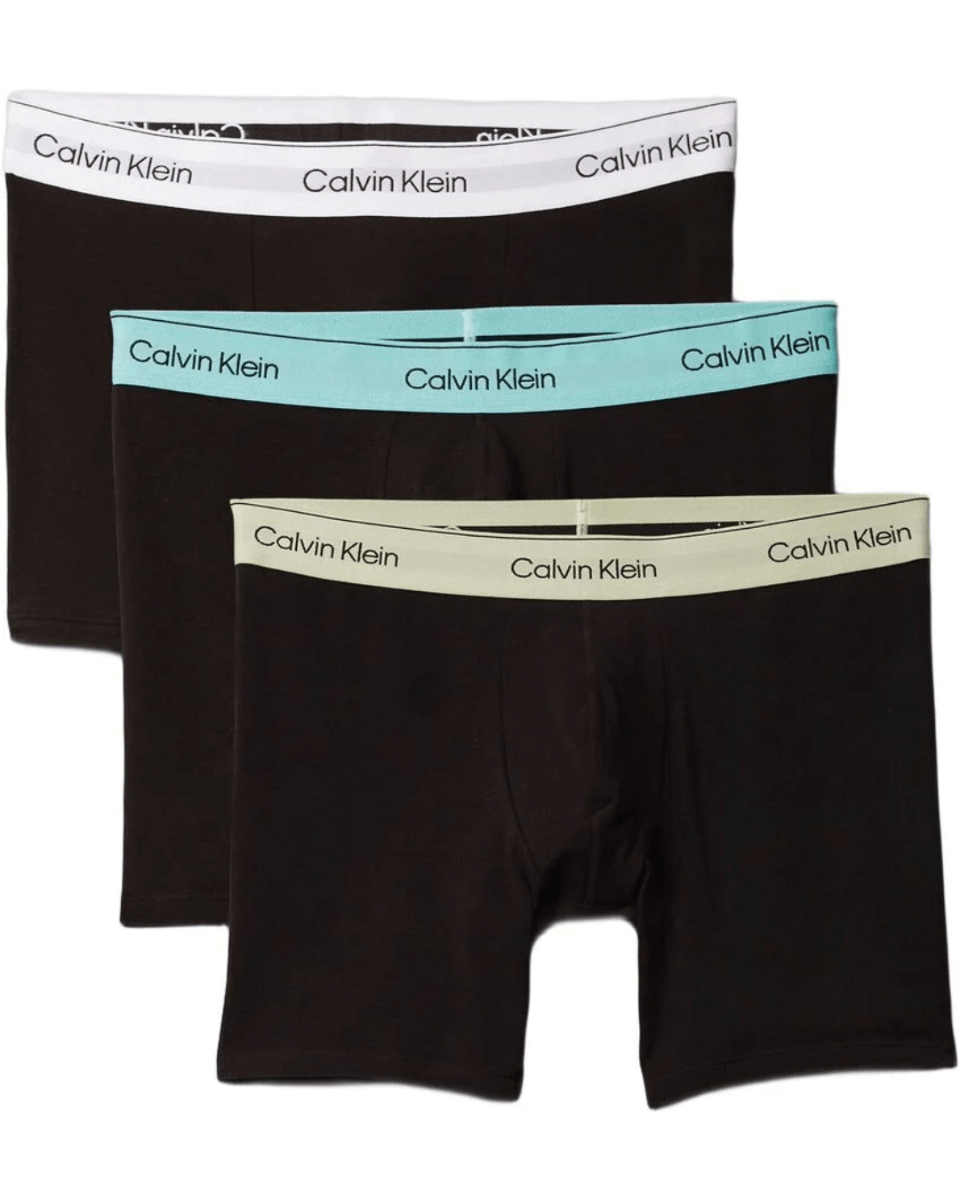 Boxer Brief 3Pak Vbr